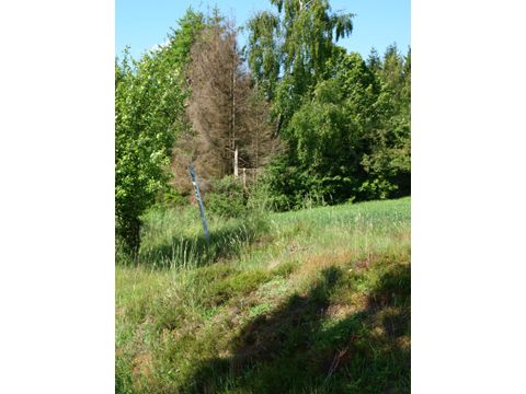Foto 46